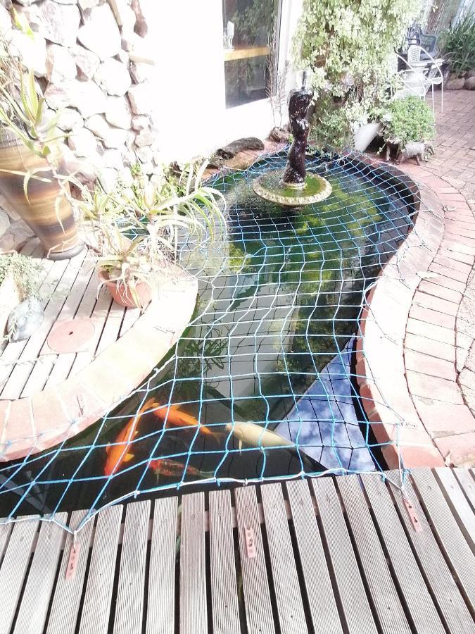 Serendipity Country House Amanzimtoti Exterior photo